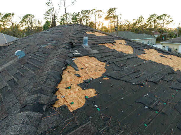 Best Green or Eco-Friendly Roofing Solutions  in North Babylon, NY